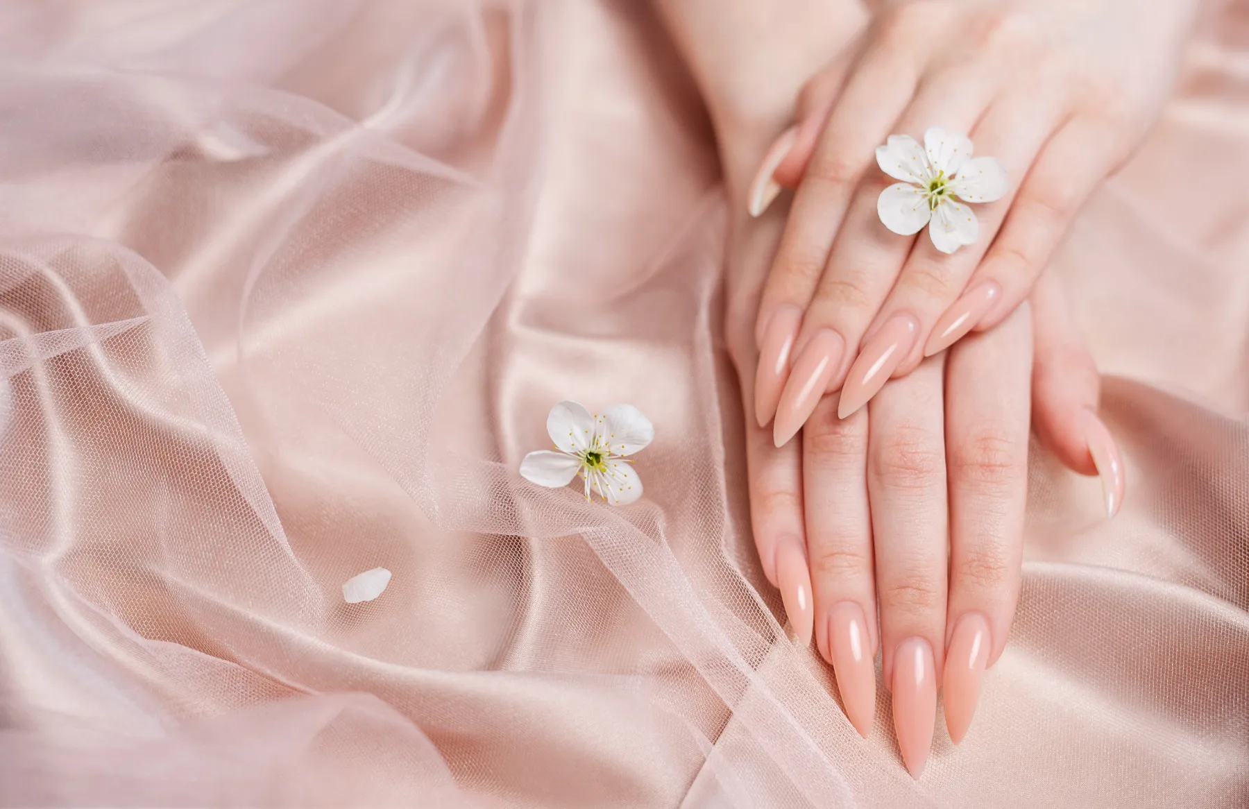 Nail Landのイメージ画像