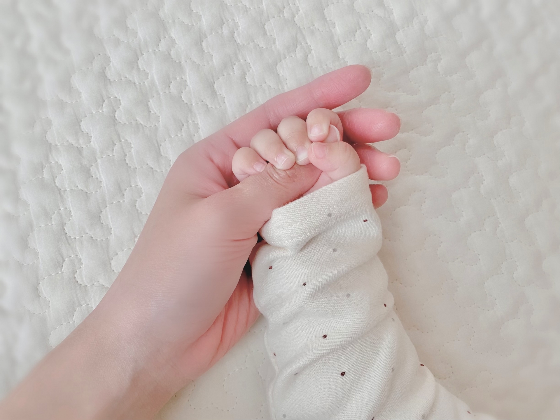 nail hugのイメージ画像